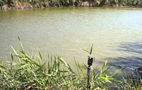 рыбалка в озерах